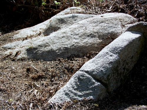 Petroglifos da Carrasca, en San Xulián (Marín).