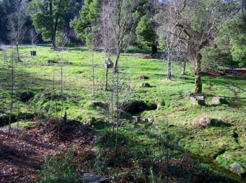 Andaina por Castiñeiras con Plataforma Montes do Morrazo.